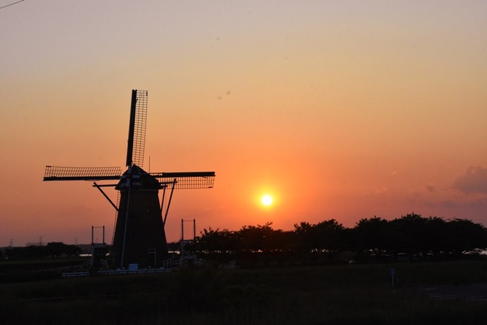 DSC_7329 (2)