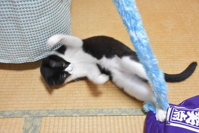 DSC_8966 (2).jpgxx