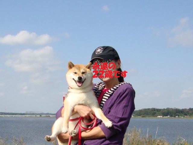 79c22986.jpg