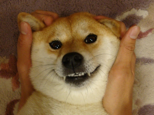 7a943142.jpg
