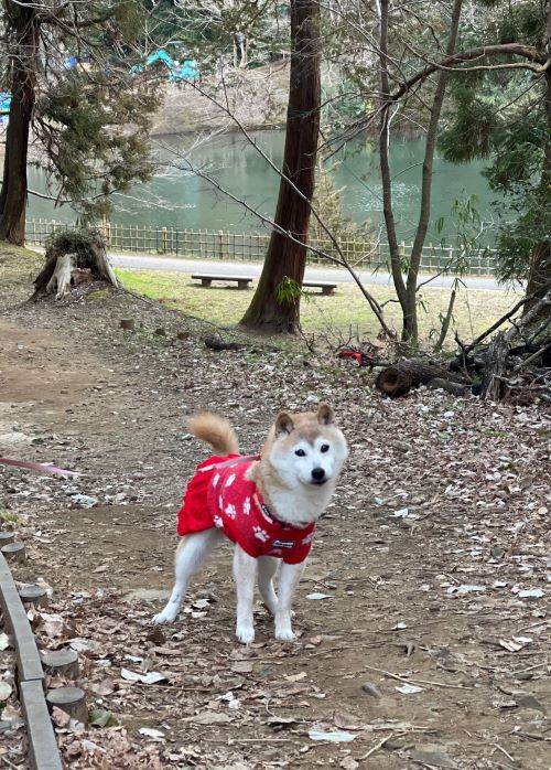 ファイル_012 (1)xx