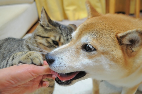 7c72a8d5.jpg