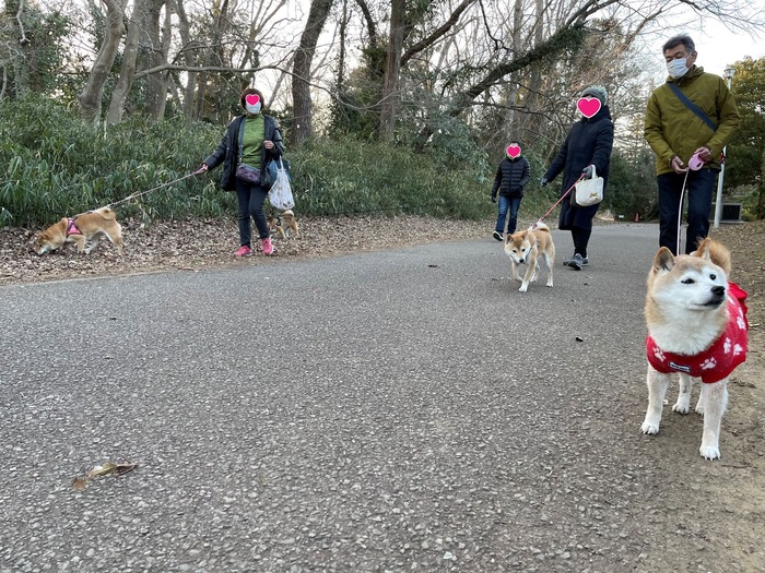 ファイル_024 (1)xx