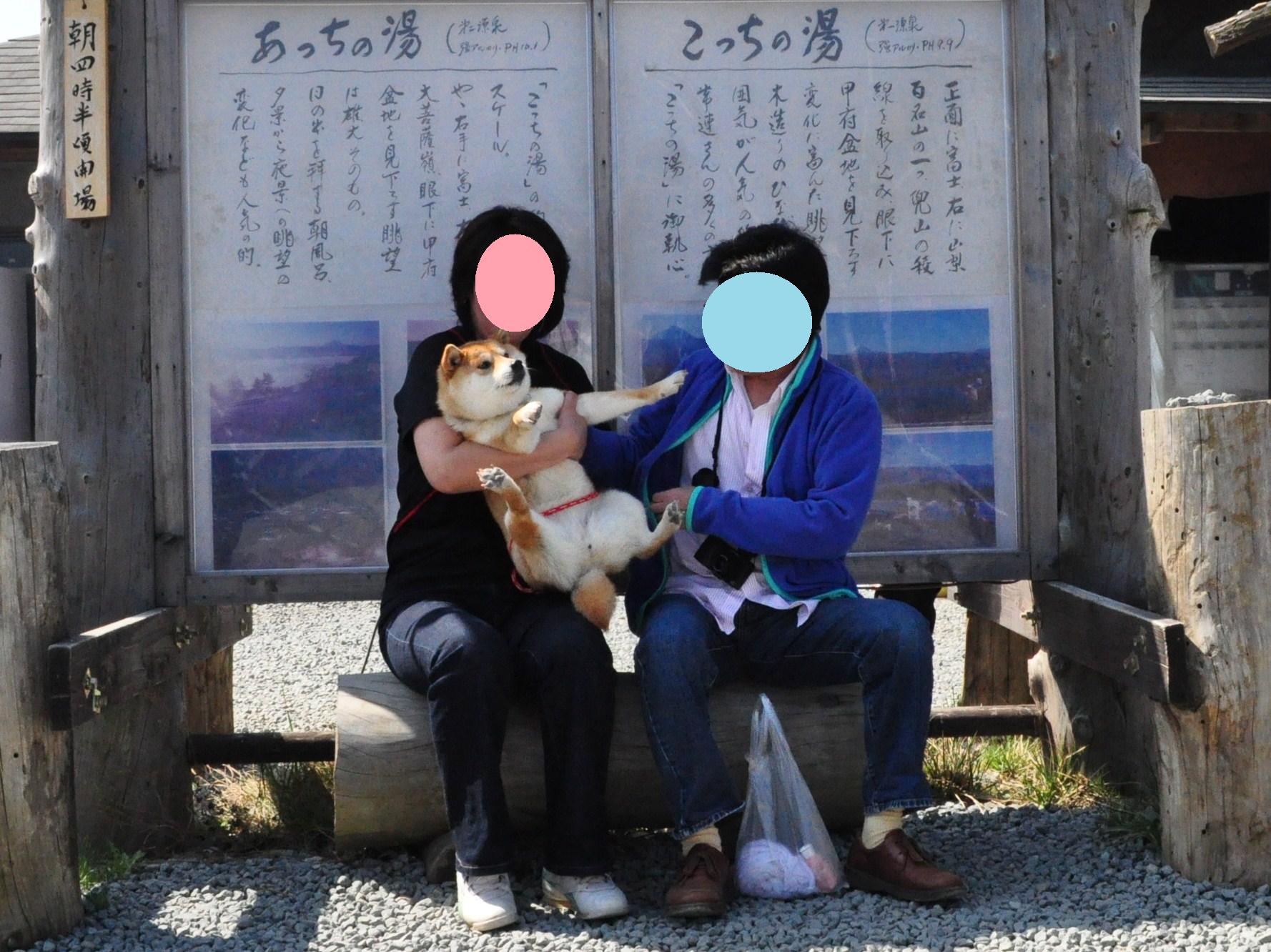 8011799d.jpg
