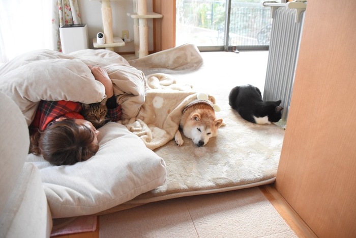 DSC_0195 (中)