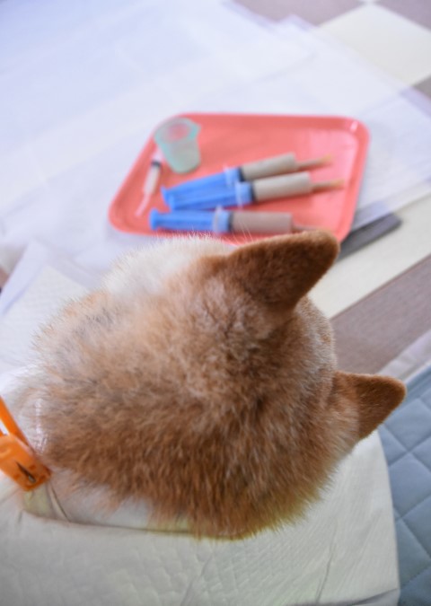 DSC_1104 (小)