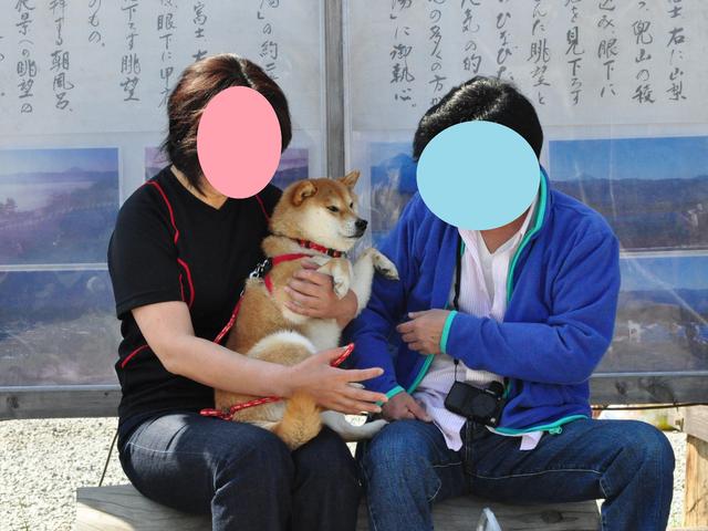 80d9bafd.jpg