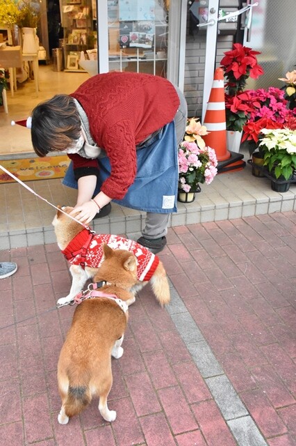 DSC_9820 (2)