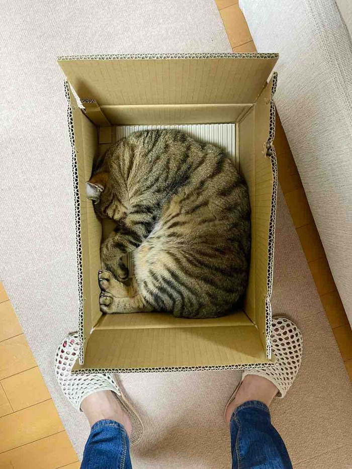 FullSizeRender