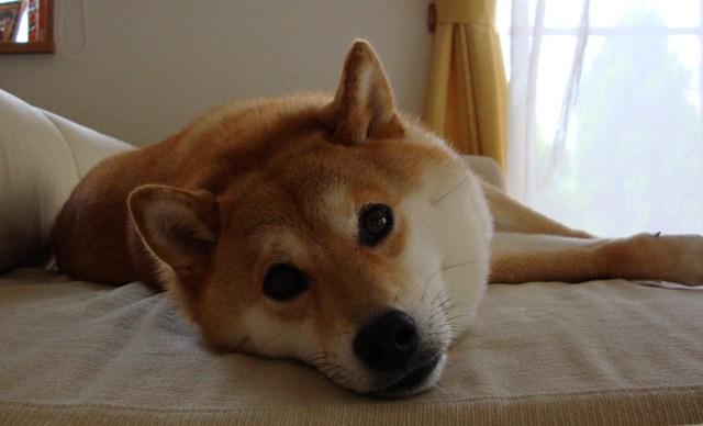 83c4a14c.jpg