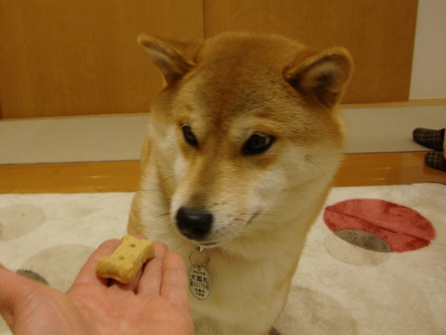 83d7ab8e.jpg