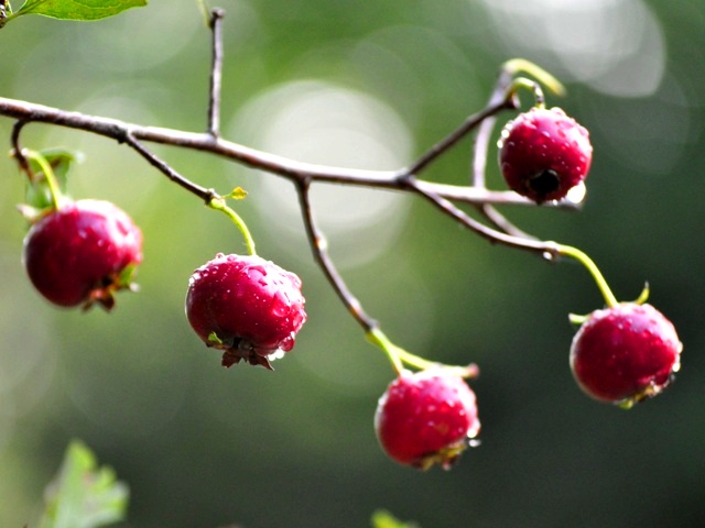 85559e14.jpg