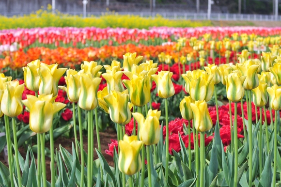85f66413.jpg