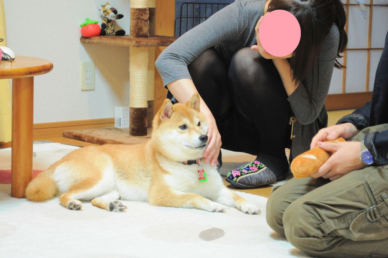 感動のプレゼント かぼすちゃんとおさんぽ Powered By ライブドアブログ 感動のプレゼント かぼすちゃんとおさんぽ Powered By ライブドアブログ