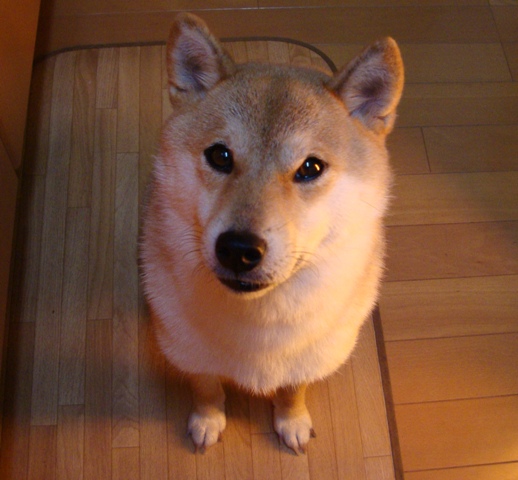 87138b0b.jpg