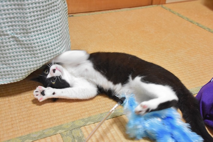 DSC_8972 (2).jpgxx