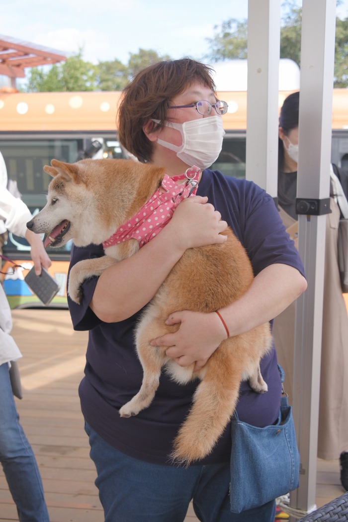 DSC_6642_xlarge (1)