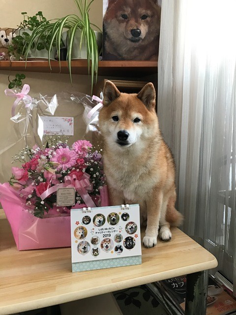 ルナ2018