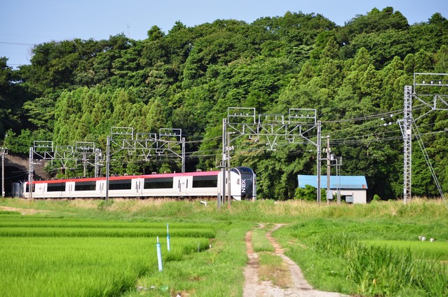 8d81a5cf.jpg