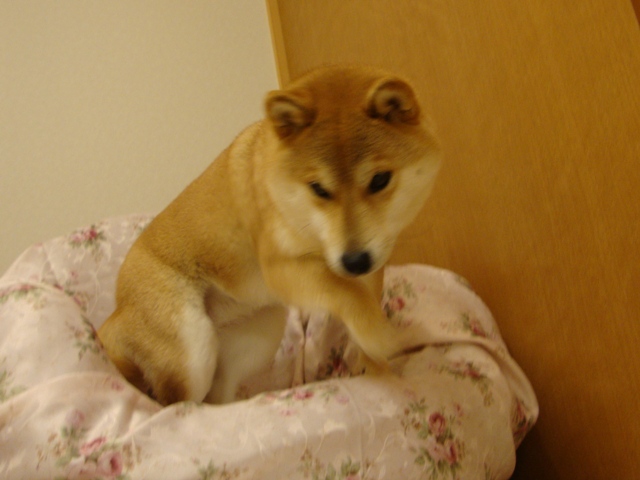 8dbd7028.jpg