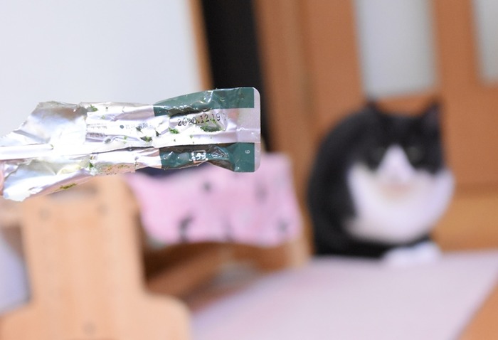 DSC_6409 (2)