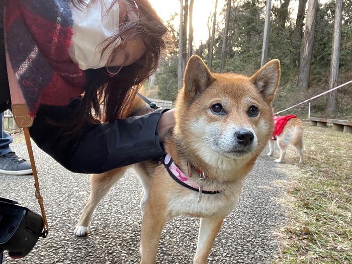 ファイル_011 (1)xx