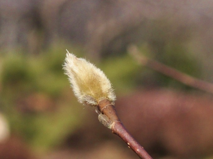 8f132547.jpg