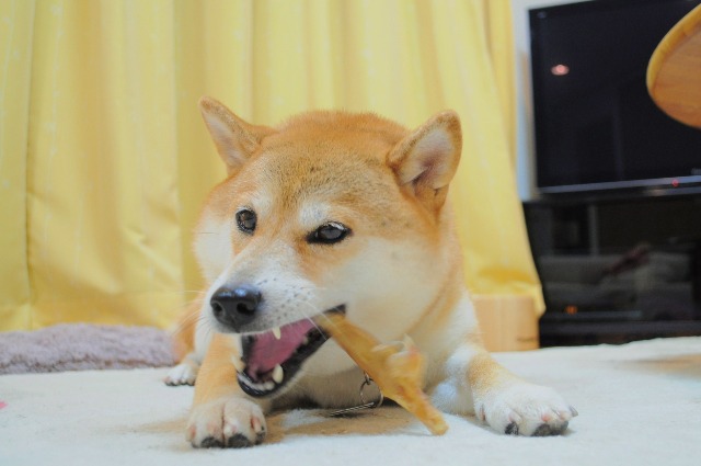 8f1d76b3.jpg