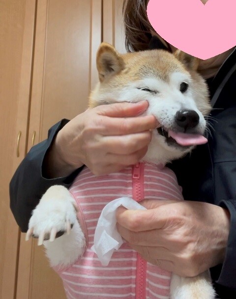 ファイル_004
