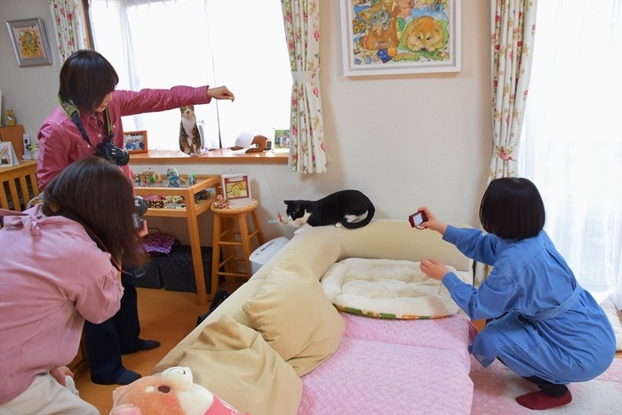 DSC_8621 (2)