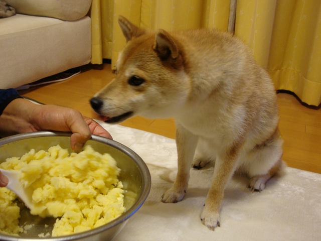 92409fe0.jpg