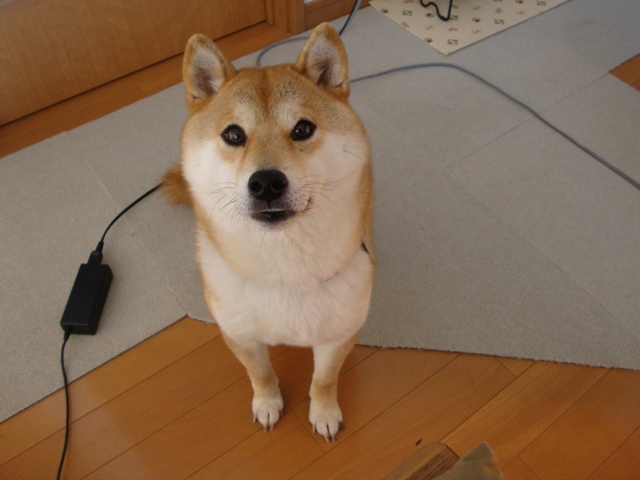 9254474b.jpg