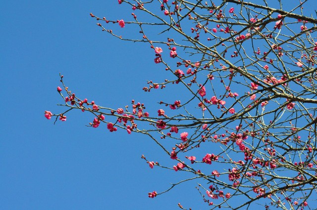926d56f0.jpg