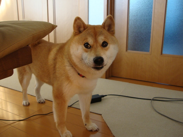 93c8586b.jpg