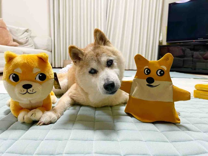 FullSizeRender