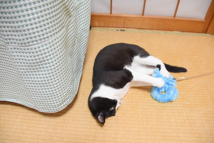 DSC_8959 (2).jpgxx
