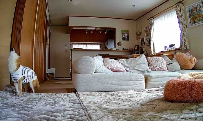 FullSizeRender