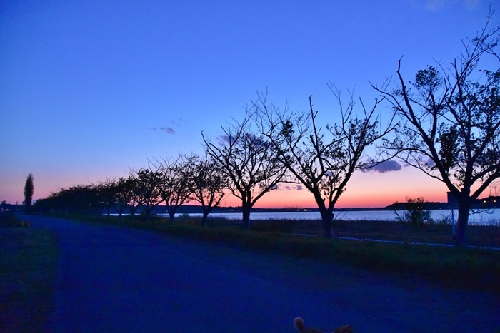 DSC_7094 (2)