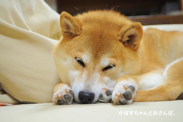 96f9be1f.jpg