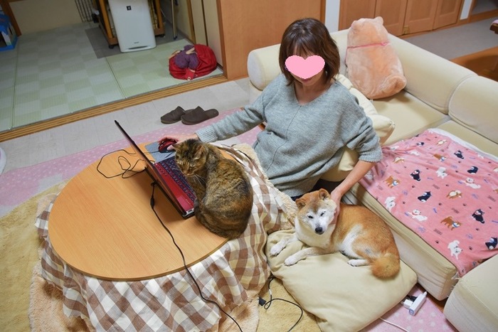DSC_9317 (2)