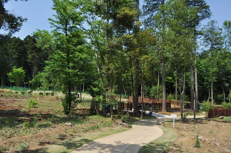 972907e5.jpg