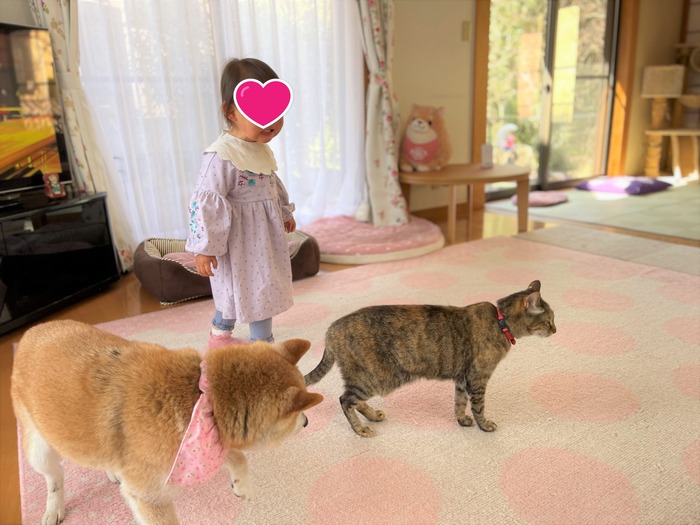 ファイル_004xx