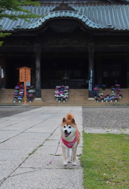 DSC_7702 (2).jpgxx