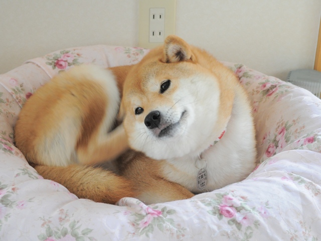99f023af.jpg