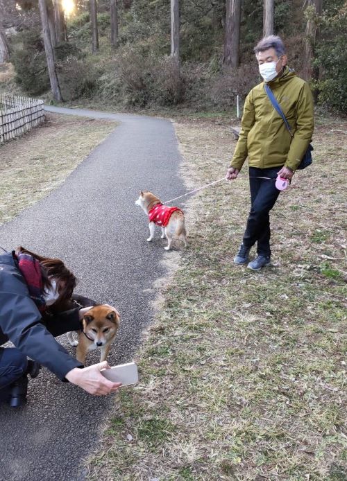 ファイル_000 (3)xx