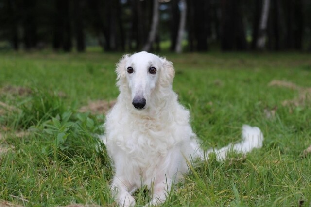 gizel201909_8064