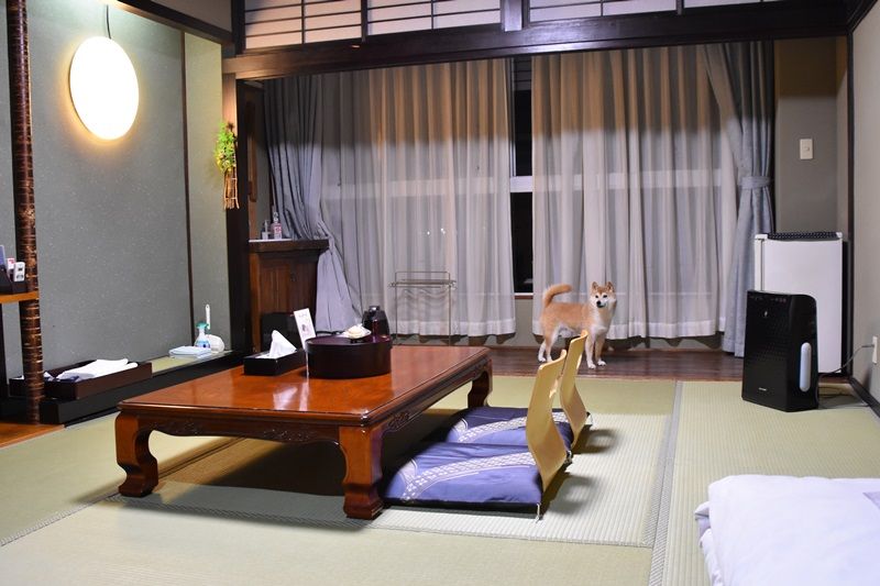 富士見園 かぼすちゃんとおさんぽ Powered By ライブドアブログ