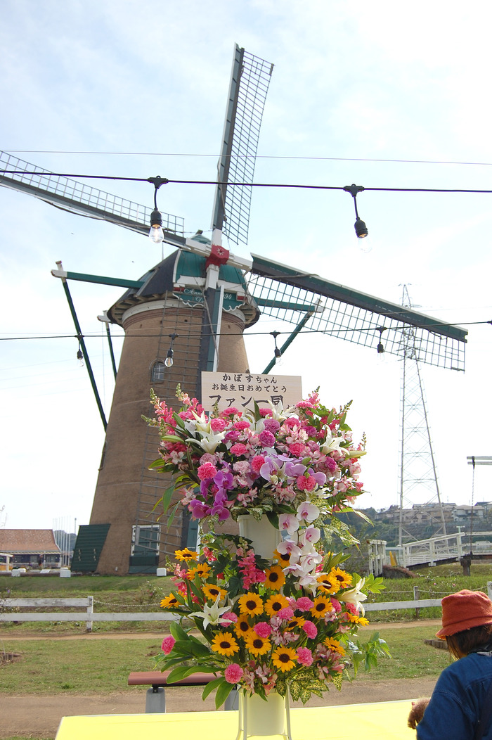 DSC_0040_original (1)