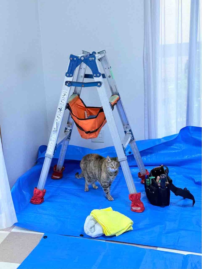 FullSizeRender