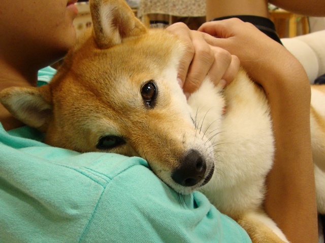a10b3a96.jpg